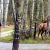 080919_094_1elkpatricialake
