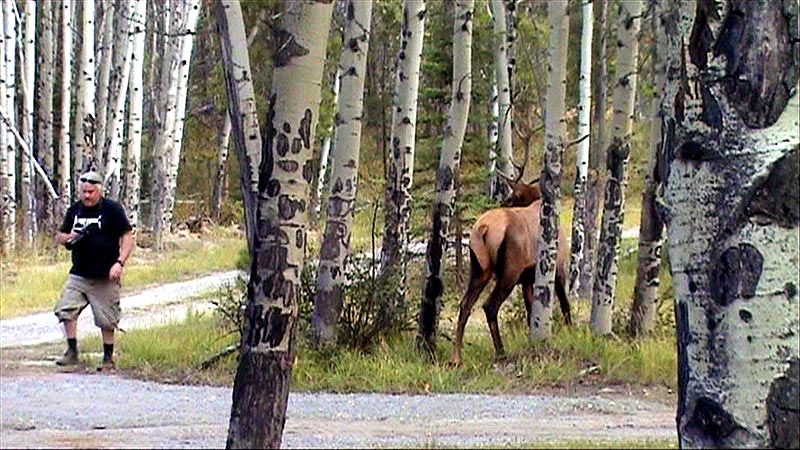 080919_094_1elkpatricialake
