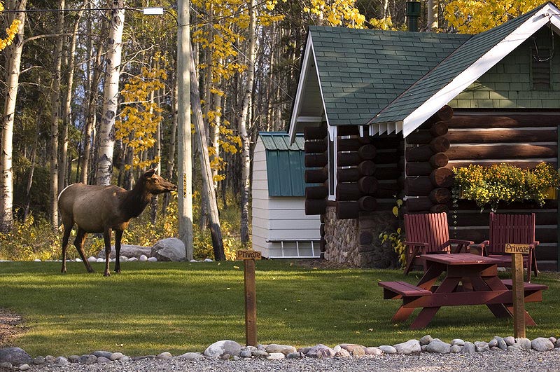 080919_099_elkpatricialake