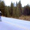 080922_036_maligneroad_moose