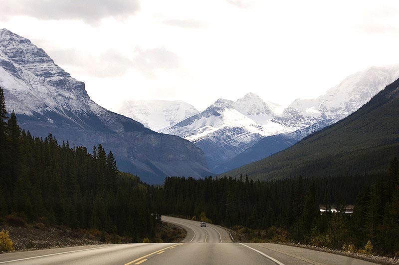 080923_002_icefieldsparkway
