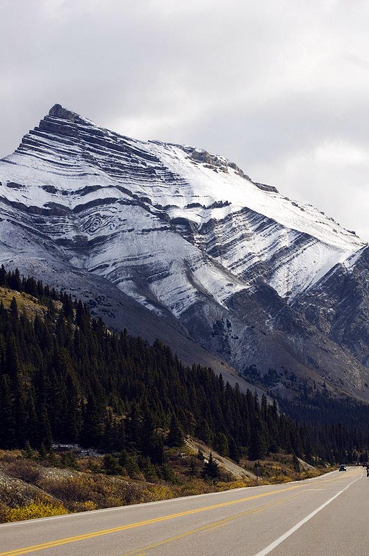 080923_008_icefieldsparkway