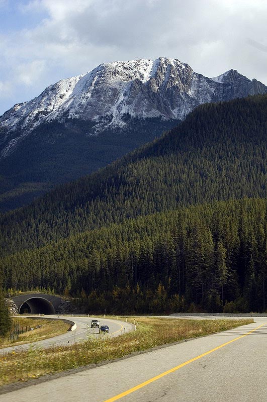 080923_016_transcanadianhighway