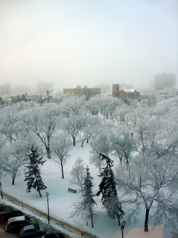 091205_hoarfrost1