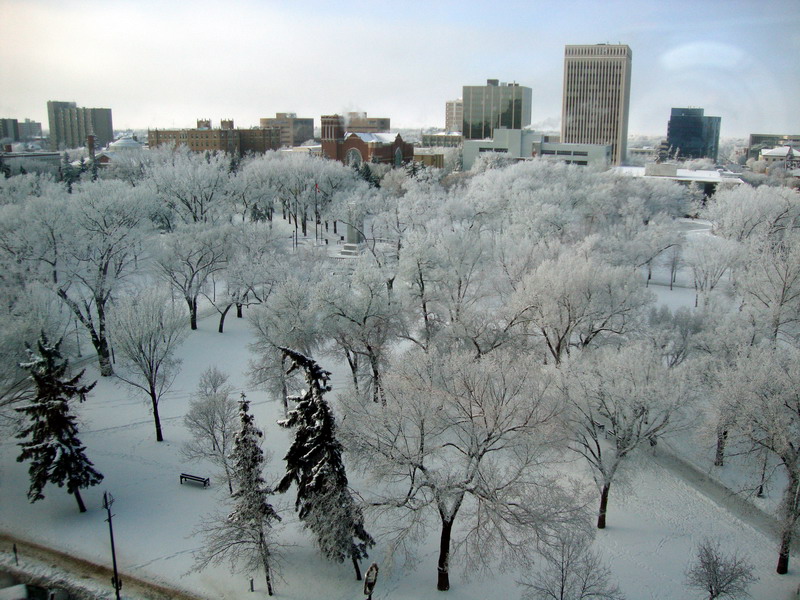 091205_hoarfrost2