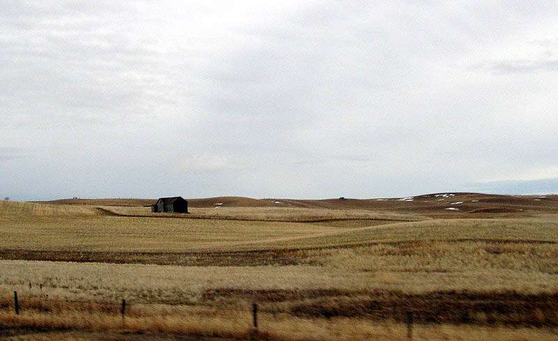 090412_11_prairie