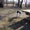 090507_38_manitoucampground