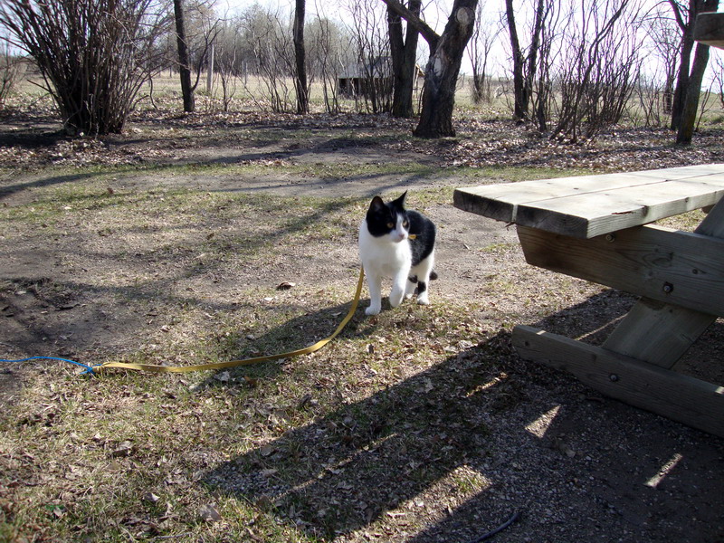 090507_38_manitoucampground