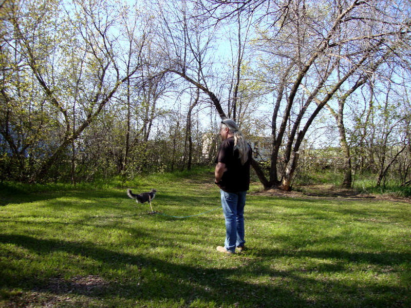 090522_14_dunnetparkcampground