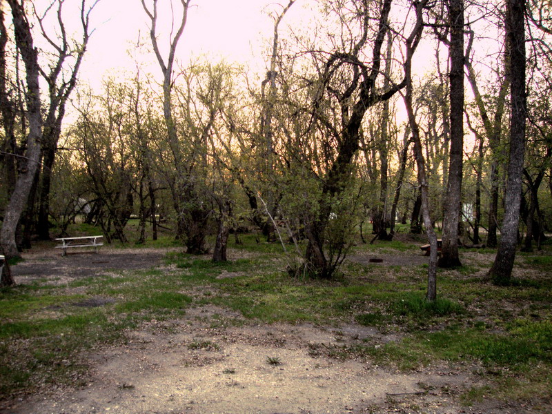 090522_29_dunnetparkcampground