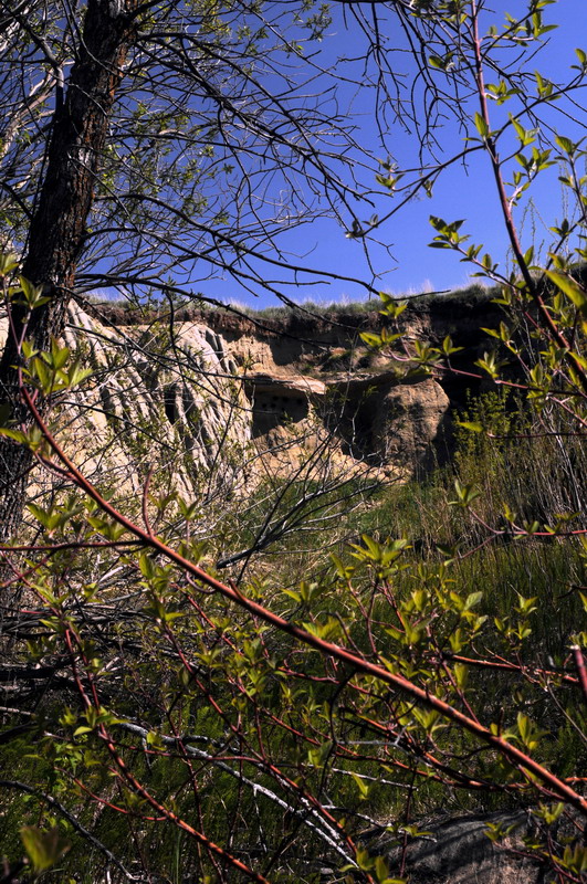 090523_28_dunnetparknaturetrail