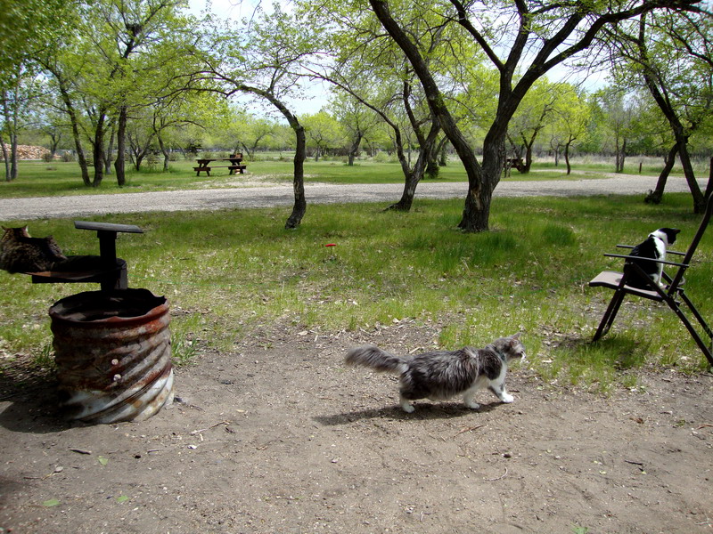 090605_02_rowansravine