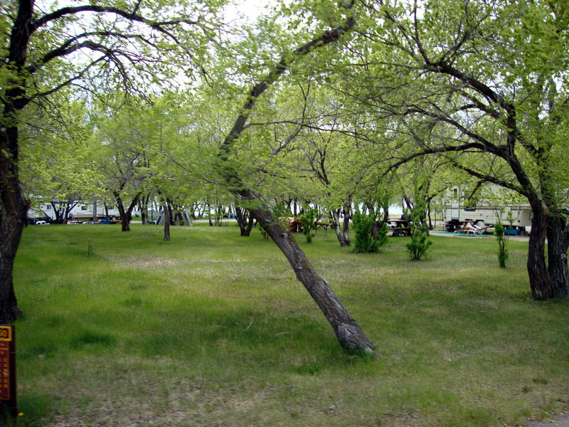 090605_13_rowansravine