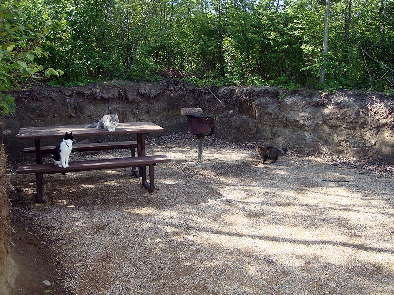 090702_06_greenwaterlakecampground