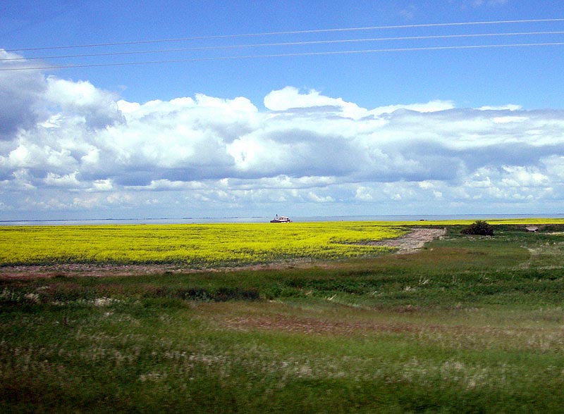 090705_05_biguilllake