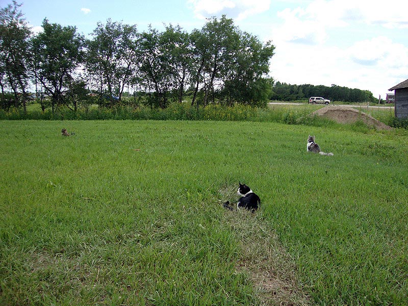 090705_08_raymore