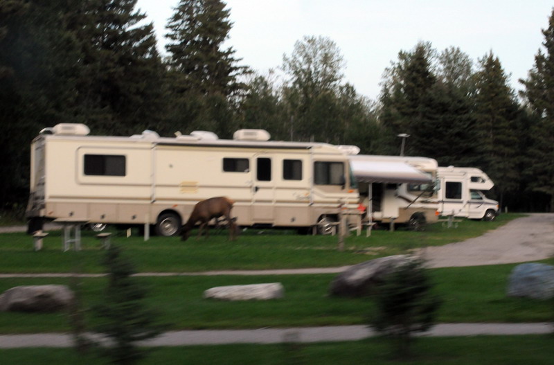090826_23_waskesiu