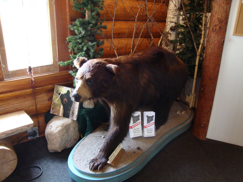 090827_16_waskesiu_naturecentre