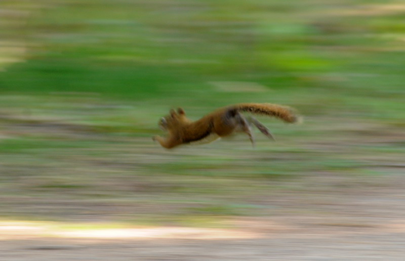 090828_025_waskesiu