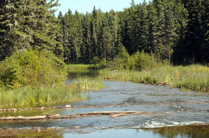 090828_030_waskesiuriver