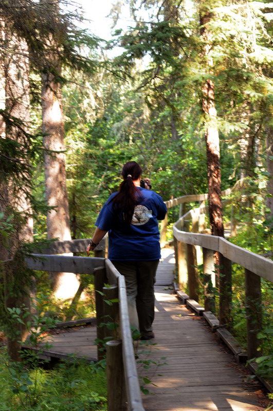 090828_032_waskesiuriver