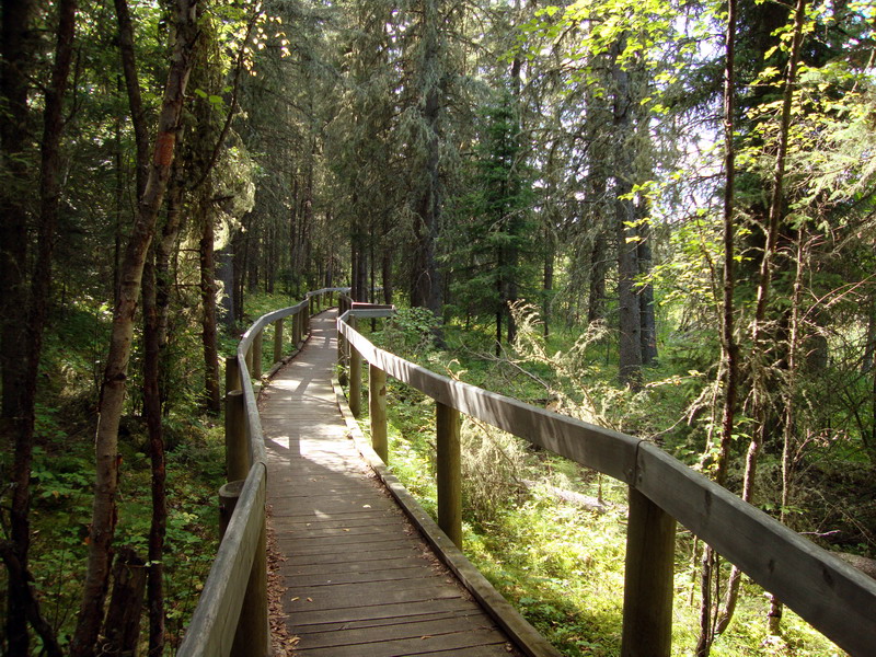090828_034_waskesiuriver