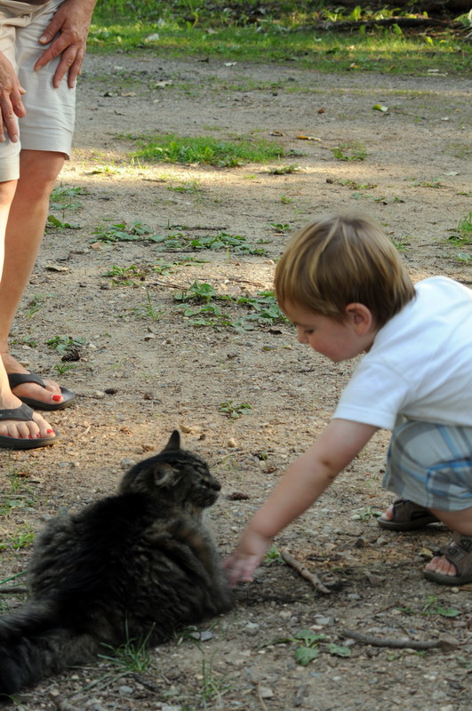 090828_088_waskesiu