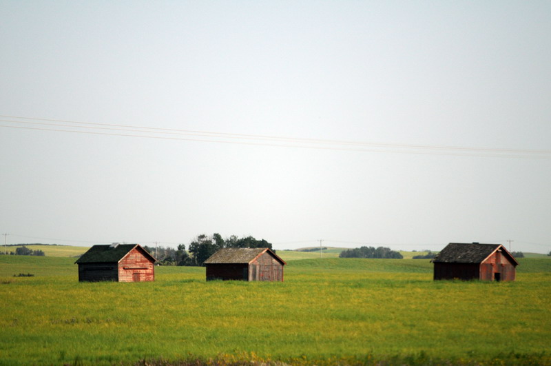 090830_044h_prairie