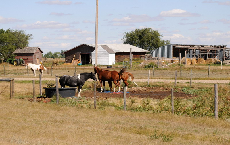 090911_12_prairie