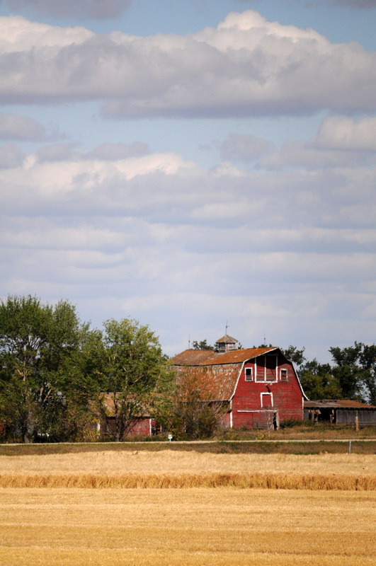 090911_17_prairie
