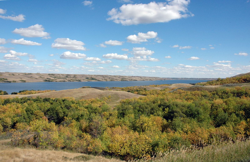 090911_25_buffalopound