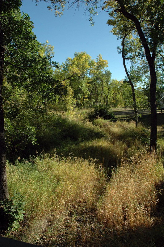 090912_36_buffalopoundcampground