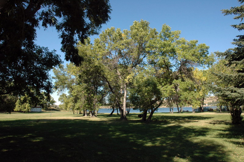 090913_10_buffalopound