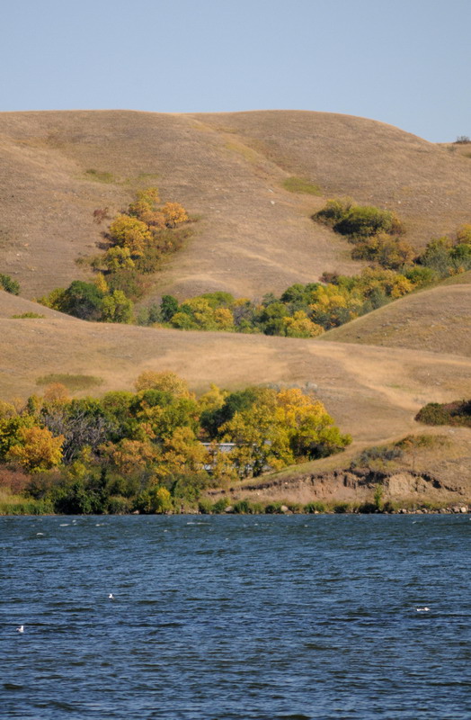 090913_21_buffalopound