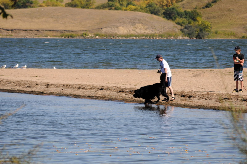 090913_49_buffalopound