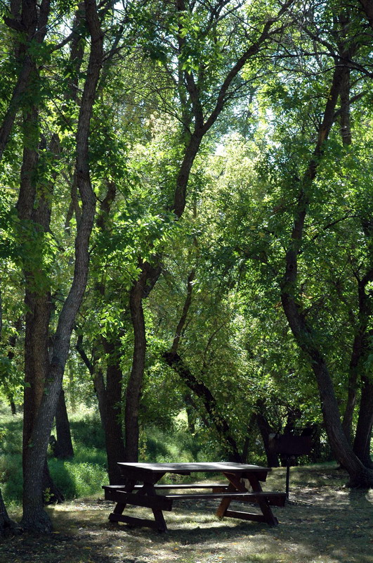 090913_62_buffalopound