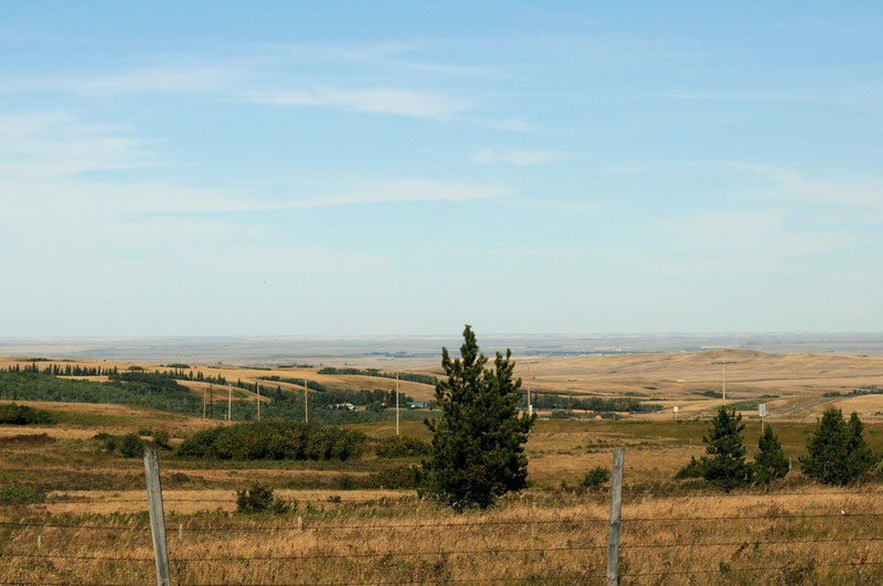 090922_33_cypresshills