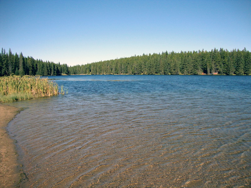 090923_07_cypresshills