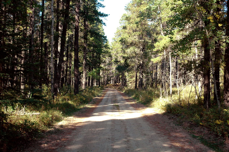 090925_007_cypresshillstour