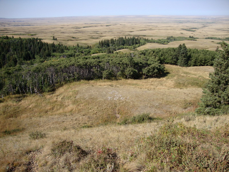 090925_047_cypresshills_baldbutte