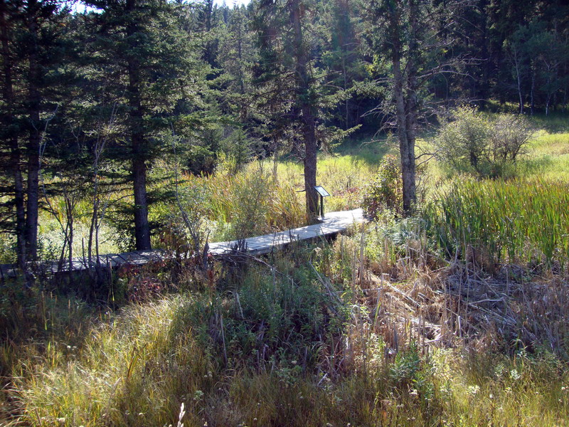 090925_088_cypresshills_highlandtrail
