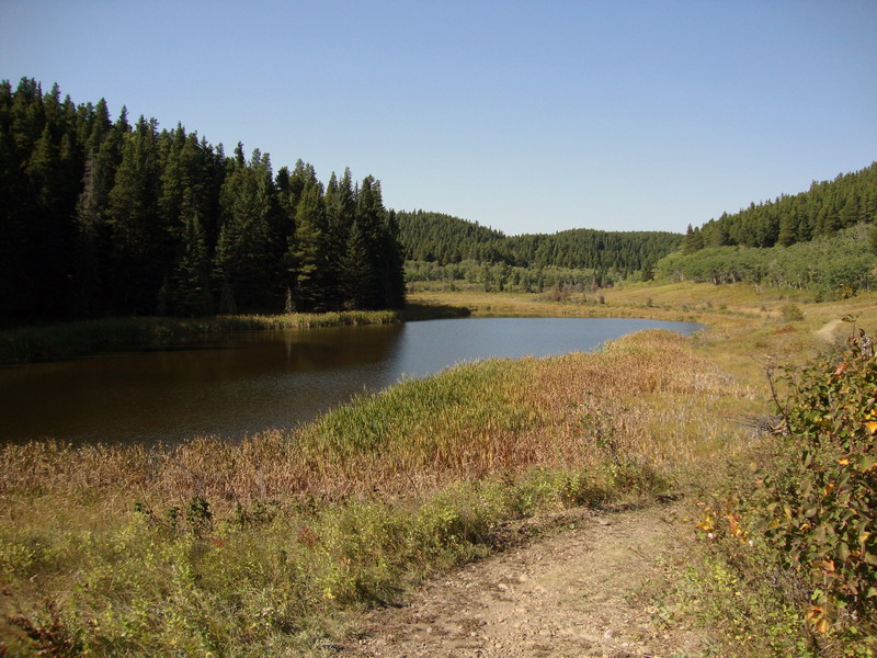 090925_090_cypresshills_highlandtrail