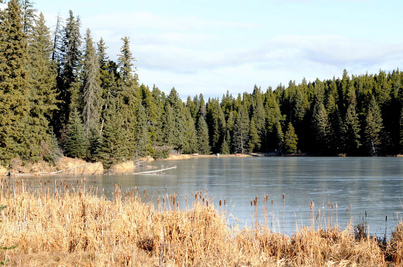 091121_38a_cypress_lochleven