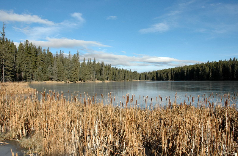 091121_39_cypress_lochleven