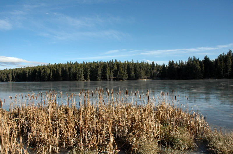 091121_40_cypress_lochleven