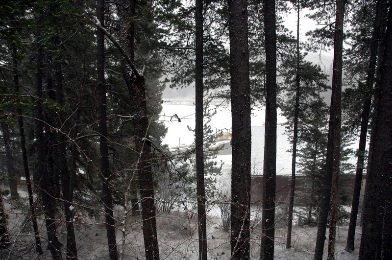 091121_64_cypress_snow