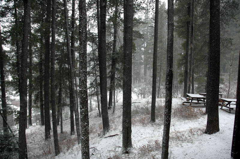 091121_66_cypress_snow