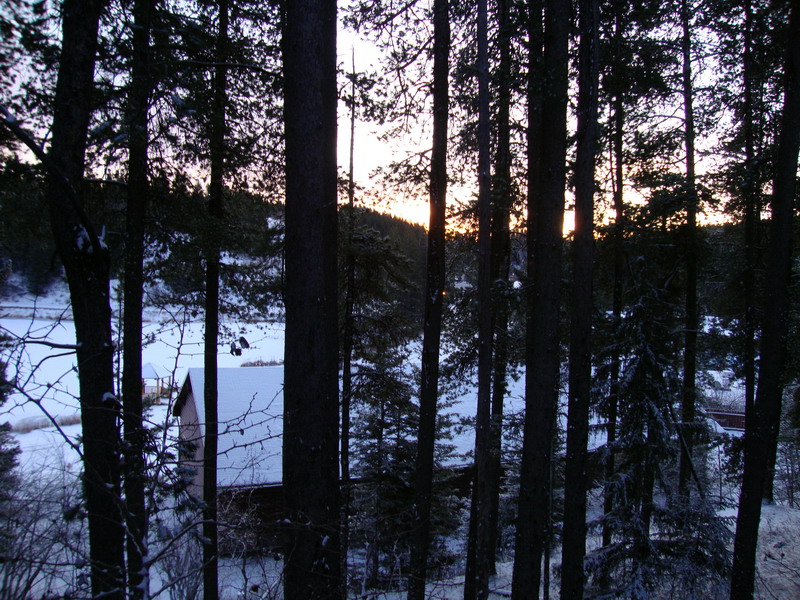 091122_001_cypresshills