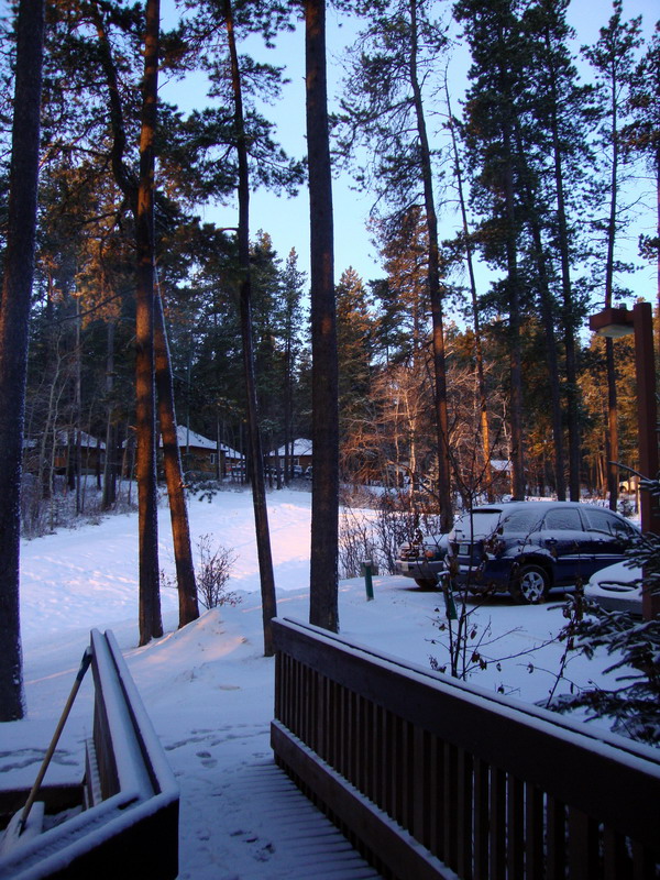091122_002_cypresshills