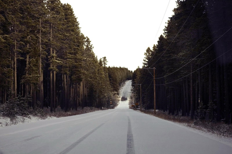 091122_007_cypresshills